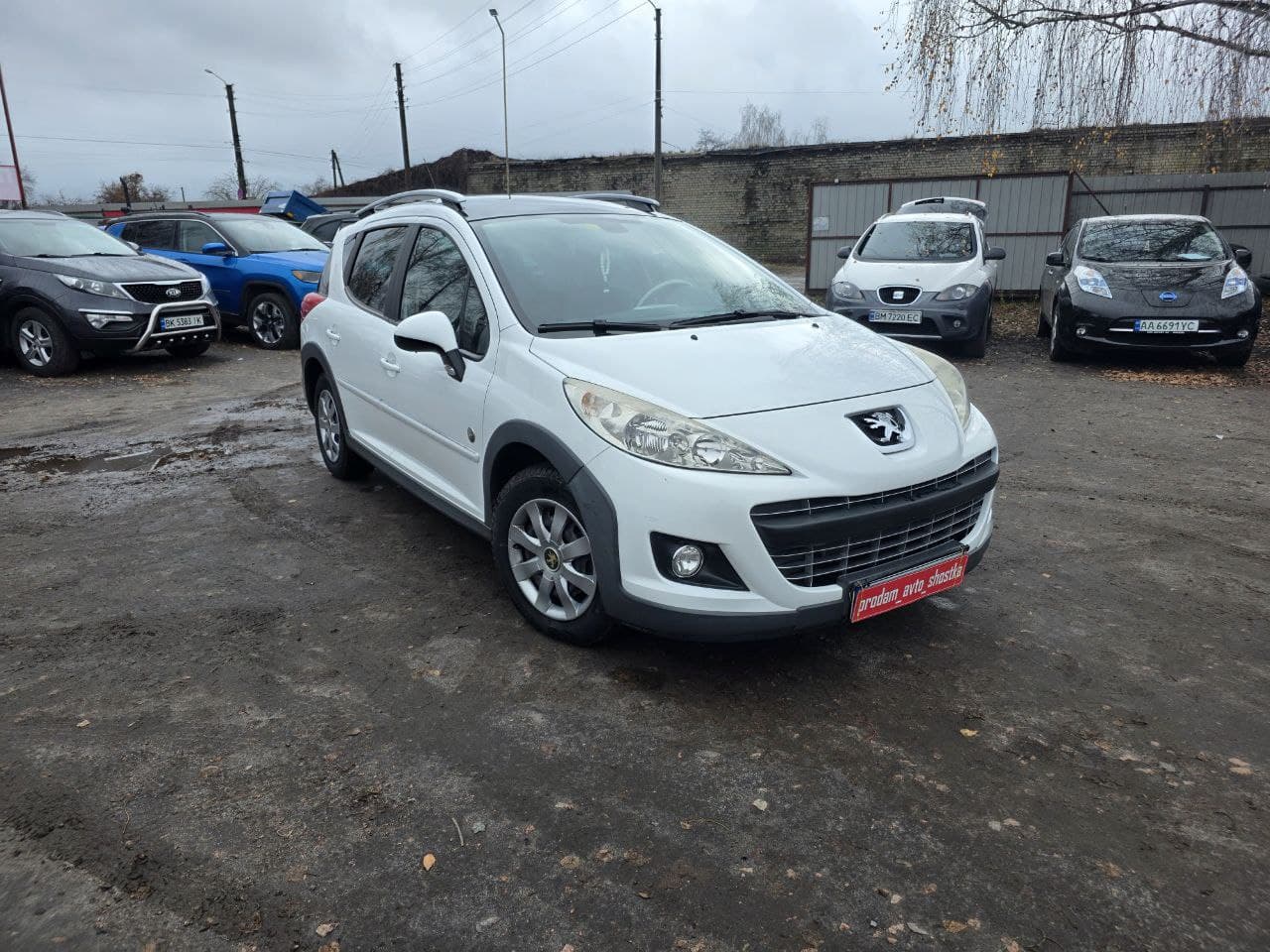 Peugeot 207 SW 2009