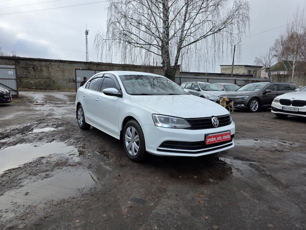 Volkswagen Jetta 2016