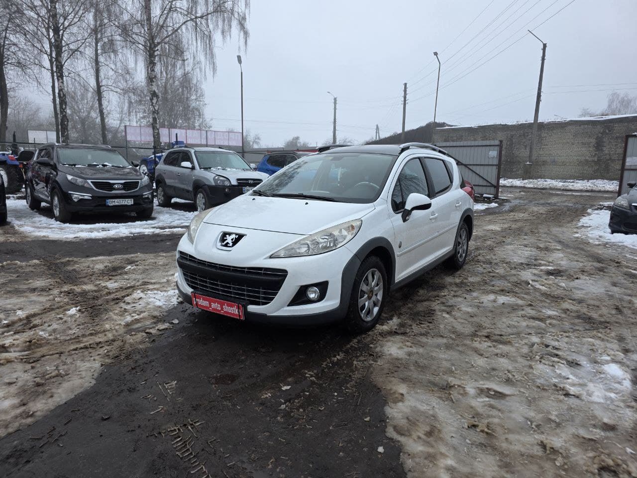 Peugeot 207 SW 2009